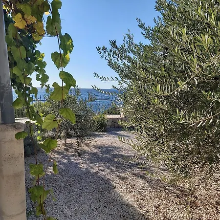 Semesterbostad Little Seafront House Primosten *